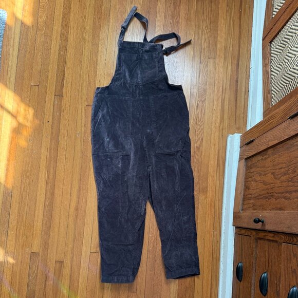 Aerie Crushed Velvet Overalls - Picture 6 of 7